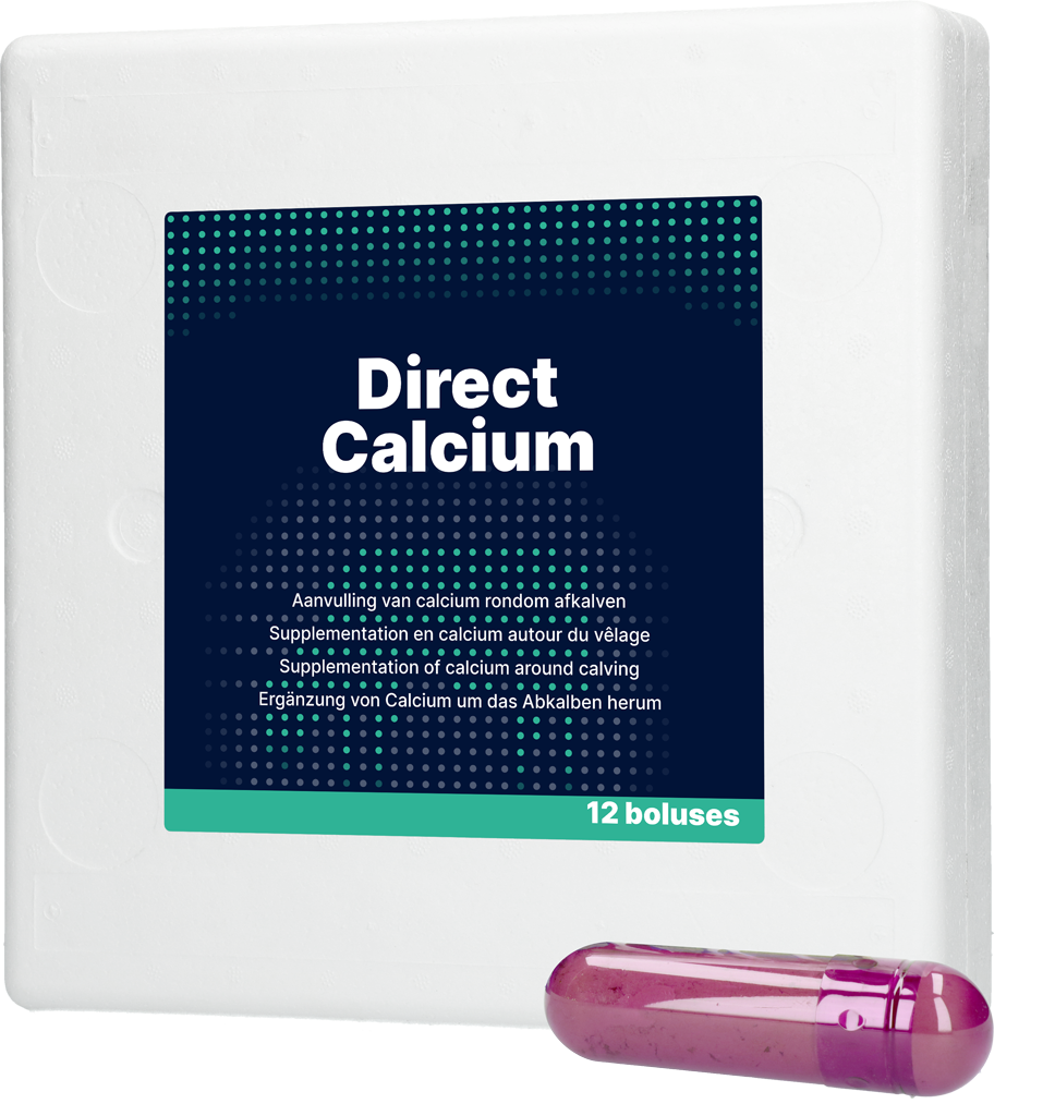 Direct Calcium Bolus, für Milchkühe, 12 x 94 g