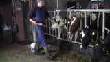 Excellent Diton, Ketoserisiko-Reduzierer für Rinder, Schafe, Ziegen, 20 kg