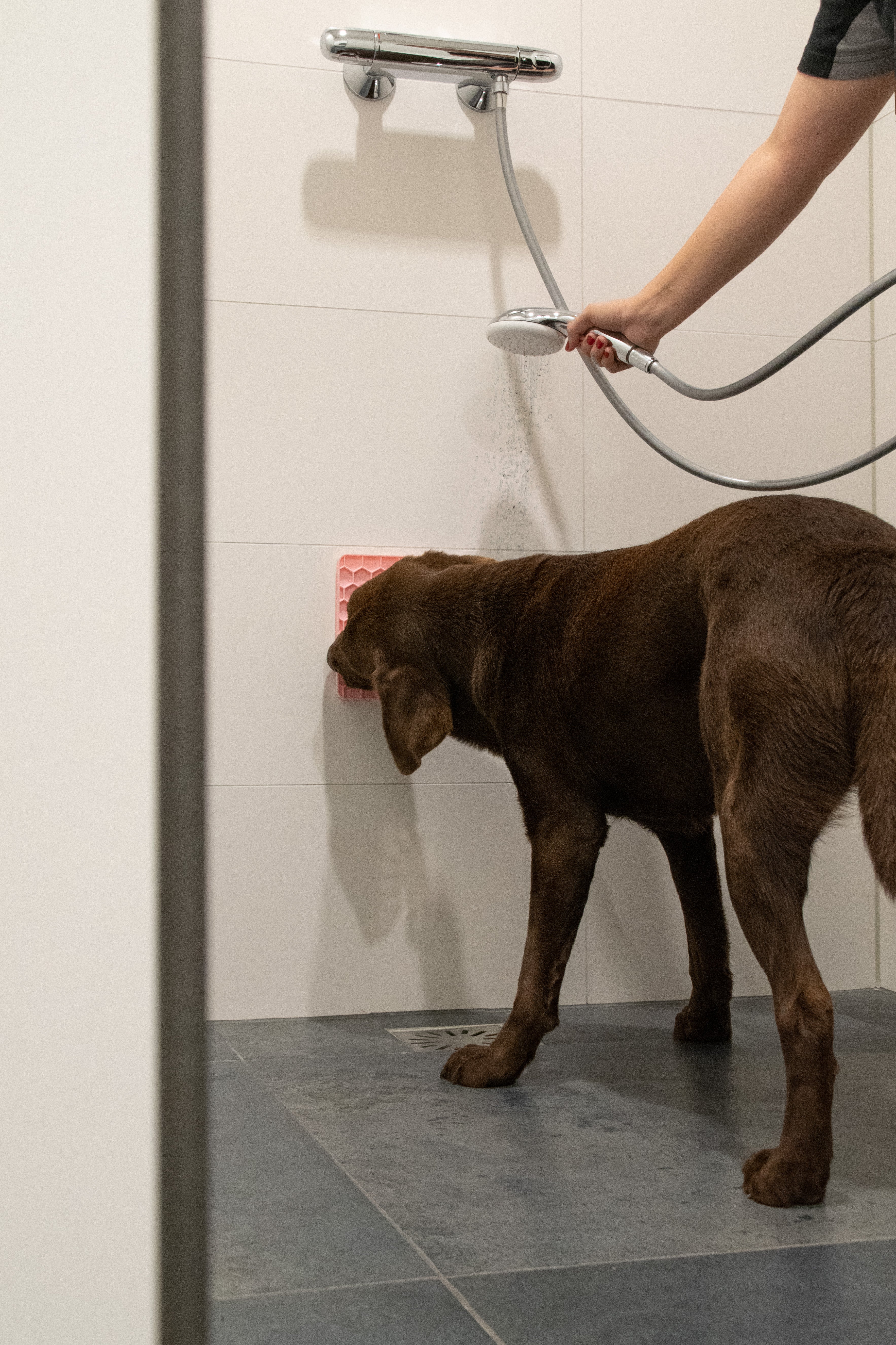 Eat Slow Live Longer Schleckmatte, Wabenstruktur, Silikon, rosa