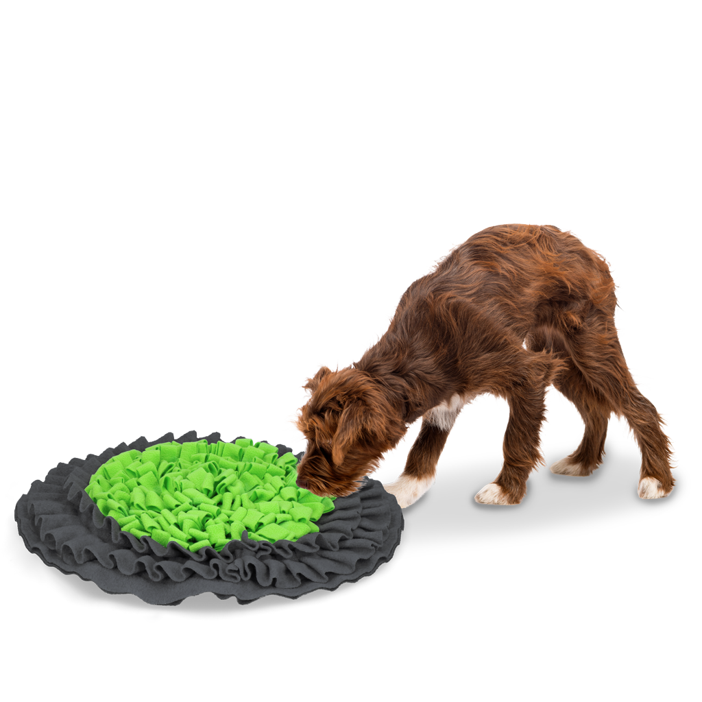 Eat Slow Live Longer Schnüffelmatte, Hunde und Katzen, Ø 50 cm