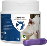 Excellent Ener Bolus, Schaf, Ziege, Ergänzungsfuttermittel, 24 Stück