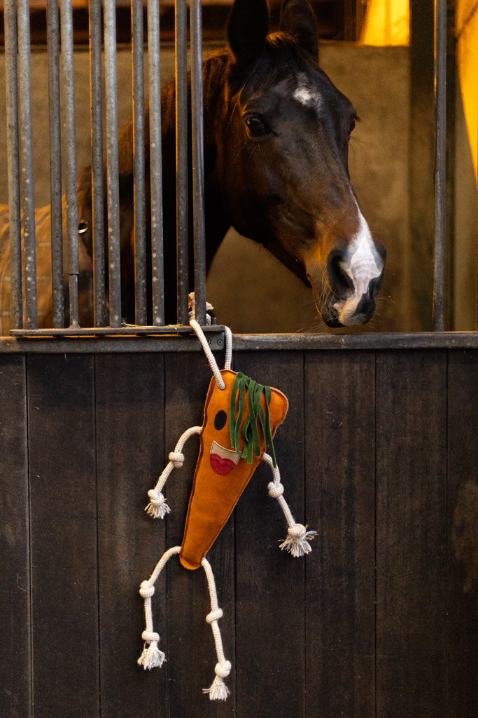 Excellent Horse Pferdespielzeug, Karotte, Naturleder, 40 x 16 x 5 cm