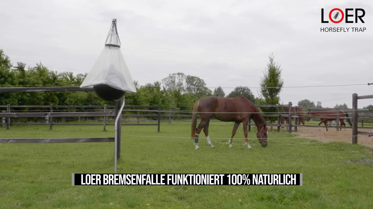 Loer Ersatzball für Bremsenfalle