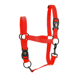 Excellent Essential Halfter, Nylon, Rot, Größe S, Shetland