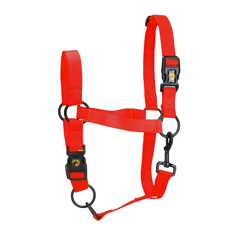 Excellent Essential Halfter, Nylon, Rot, XL