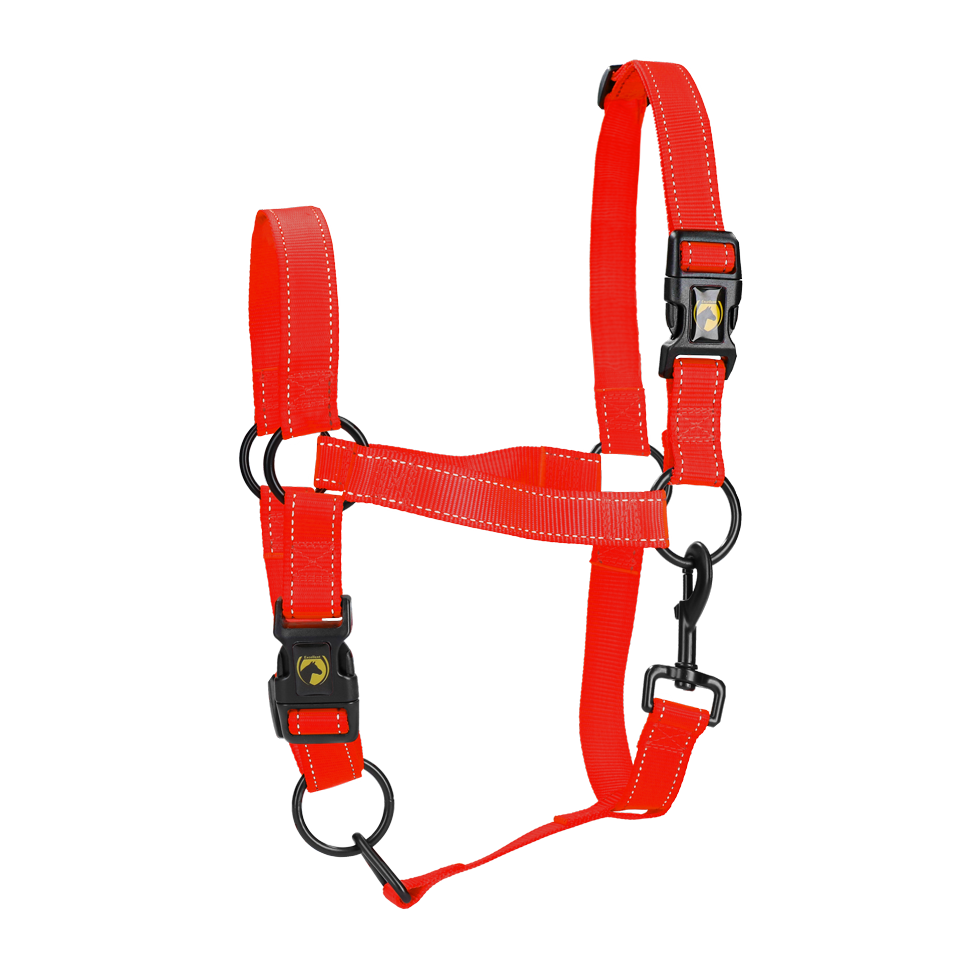 Excellent Halfter, Nylon, rot, XL