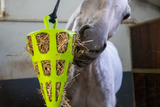 Heu-Slowfeeder Karotte aus Naturkautschuk mit Nylonseil für Stalltiere