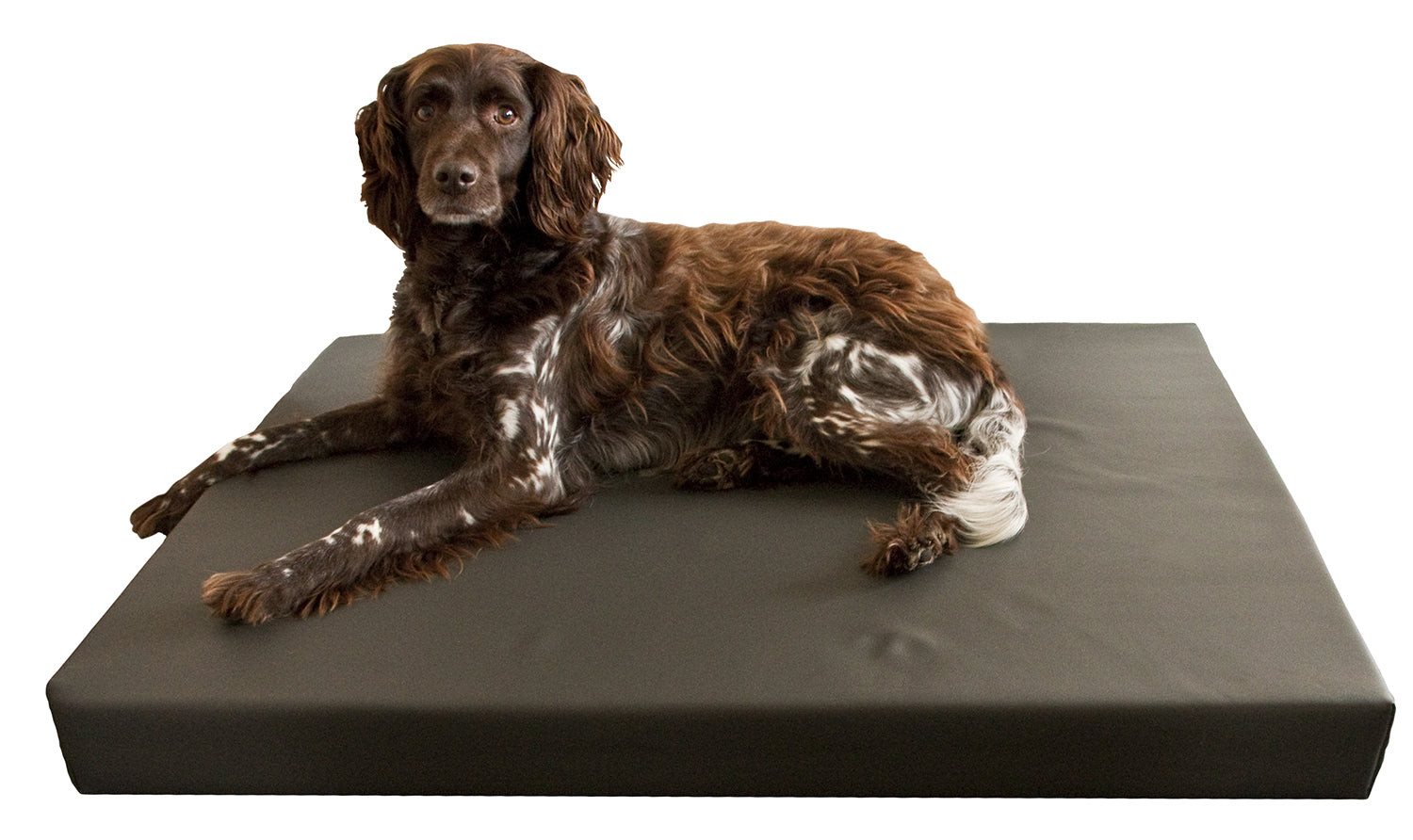 Orthopädisches Hundebett, PU-Leder, Memory Foam, 75 x 100 cm, Holland Animal Care