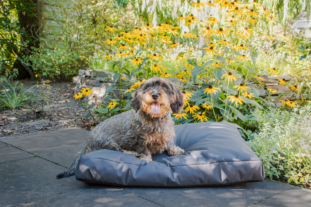 Let's Sleep Hundebett Outdoor, Cushy Cloud, L, 100 x 75 x 10 cm, anthrazit