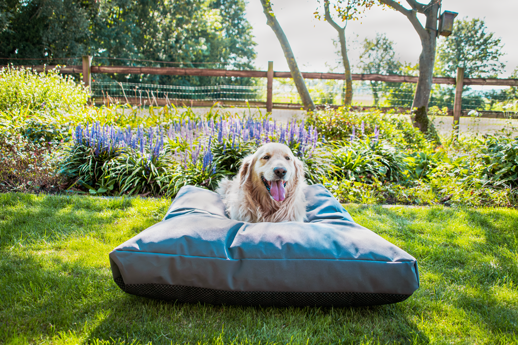 Let's Sleep Hundebett Cushy Cloud Outdoor, XL, 125 x 90 x 10 cm, Anthrazit