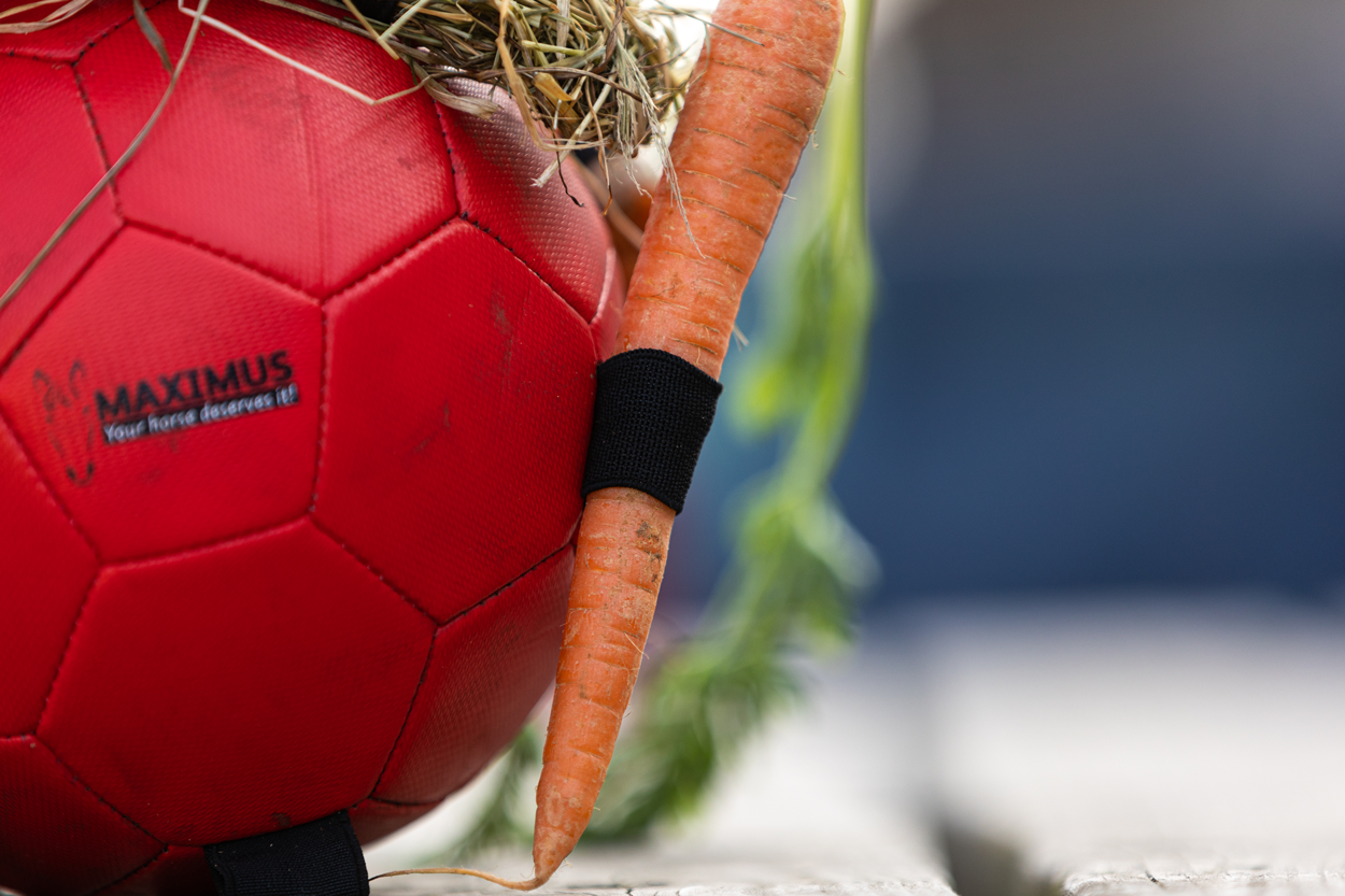 Excellent Horse Spielball, strapazierfähiger Spiel- und Kauspielball für Pferde