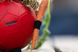 Excellent Horse Spielball, strapazierfähiger Spiel- und Kauspielball für Pferde
