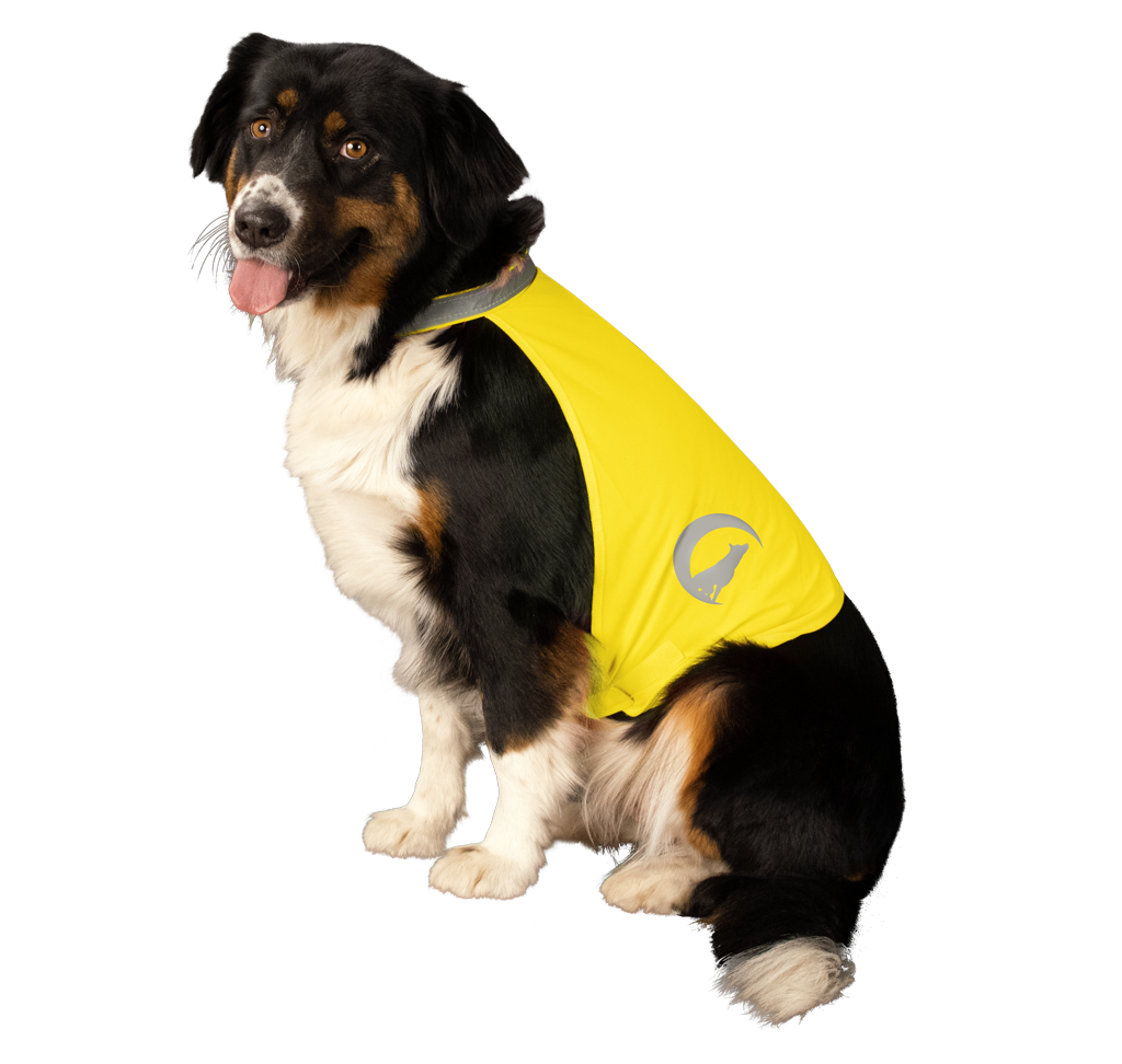 Nightwalk Sicherheitsweste für Hunde, reflektierend