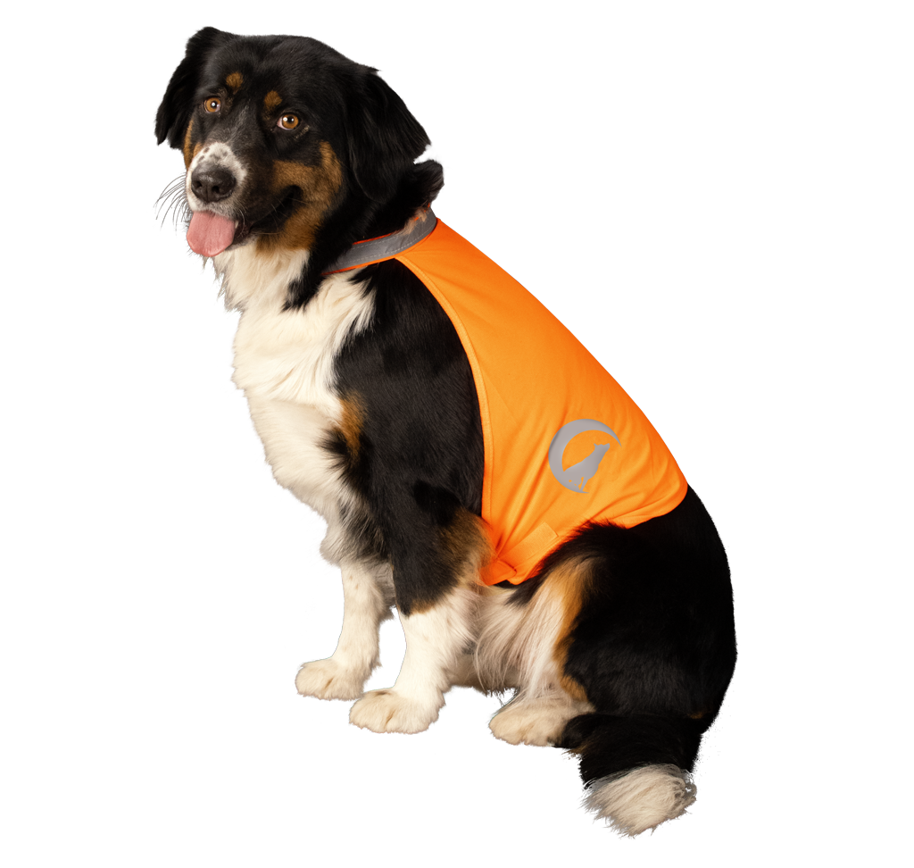 Nightwalk Sicherheitsweste für Hunde, reflektierend