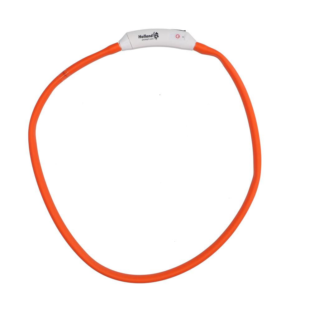 Sicherheits-Halsband, orange