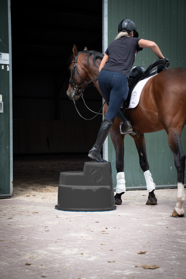 Excellent Horse Aufstiegshilfe, 3 Stufen, Schwarz