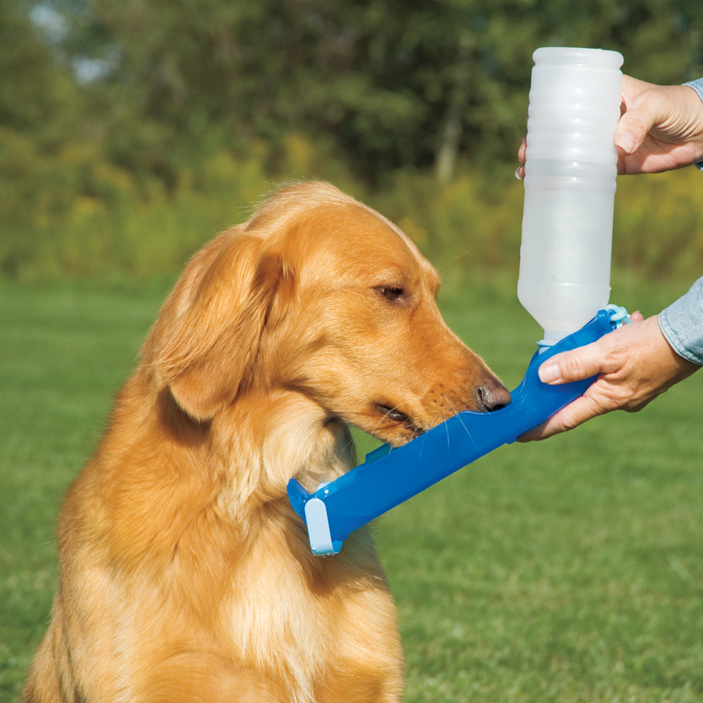 Pawise Trinkflasche für Hunde und Katzen, 500 ml