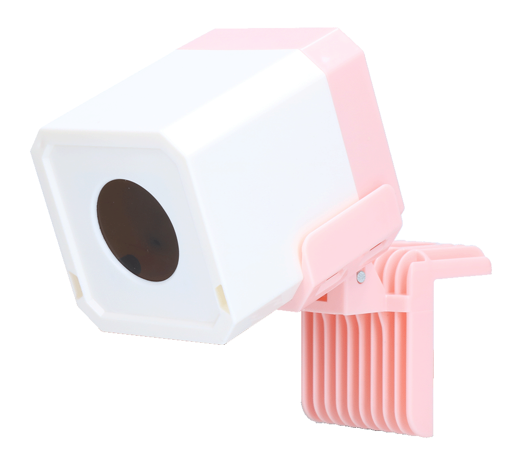 Pawise Katzenspielzeug, automatischer Laserpointer