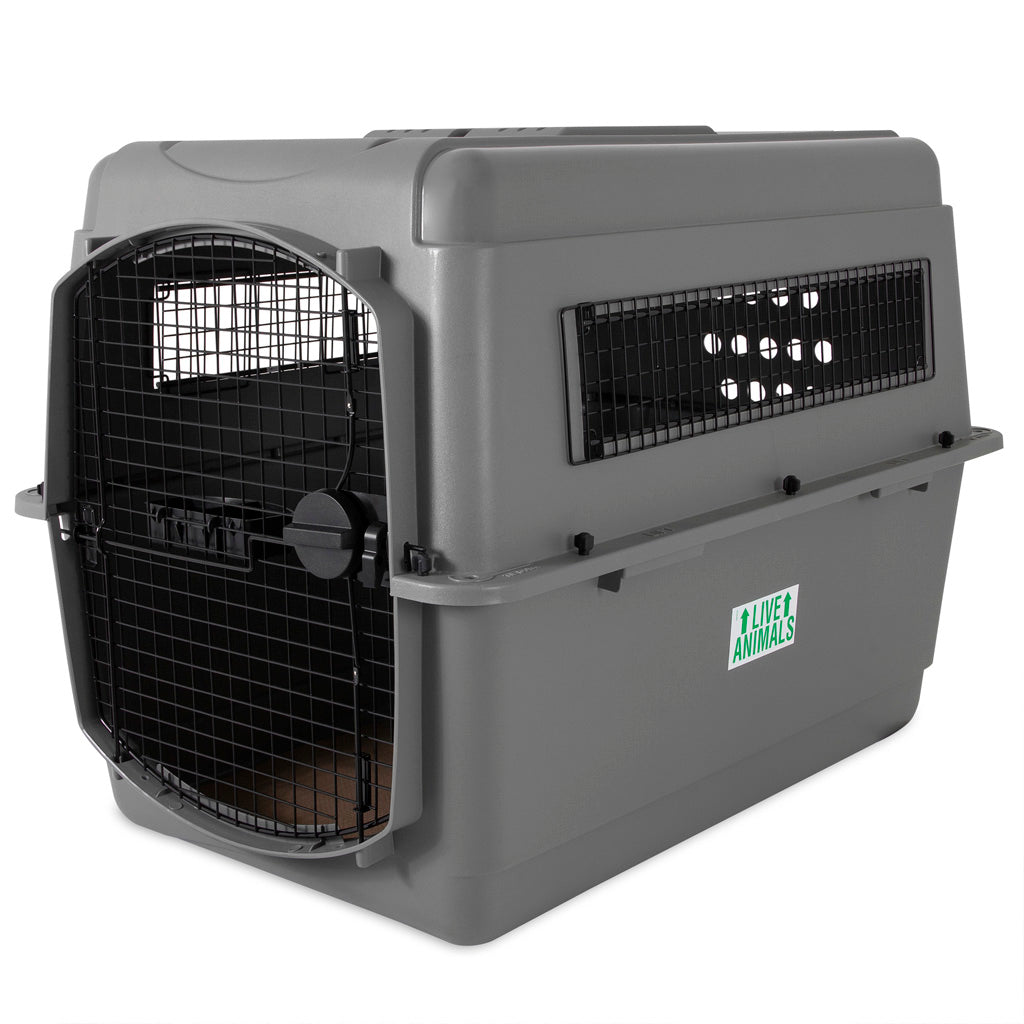 Petmate Sky Kennel Hundebox, XXL, 101 x 68 x 76 cm, für Hunde 32–41 kg