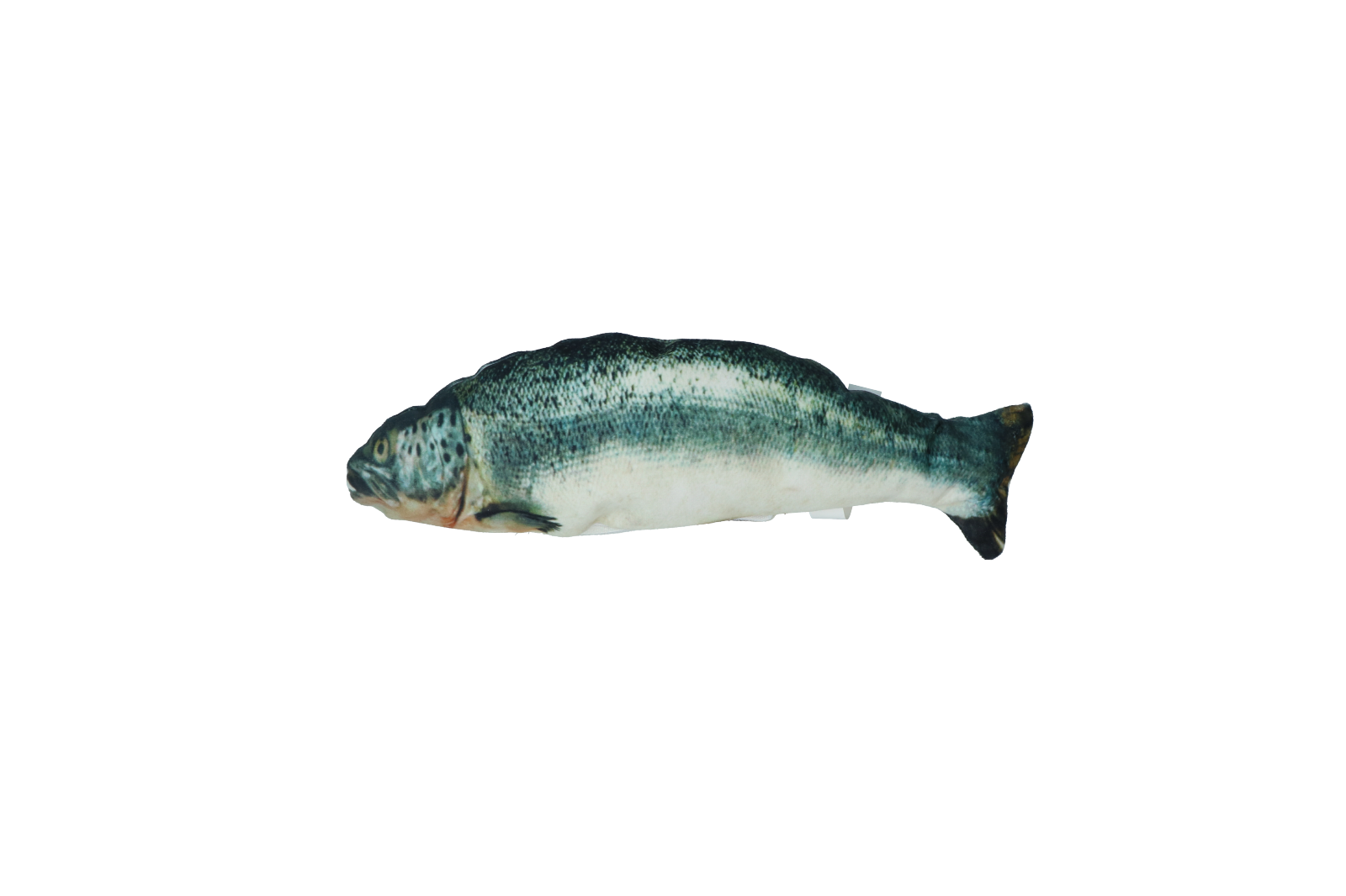 Robocat Katzenspielzeug Fisch Lachs, MADNIP-Füllung, USB aufladbar, 30 cm