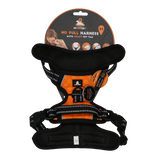 Spotted! Pro No Pull Hundegeschirr, Orange, XS