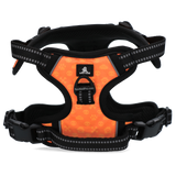 Spotted! Pro No Pull Hundegeschirr, Orange, XS