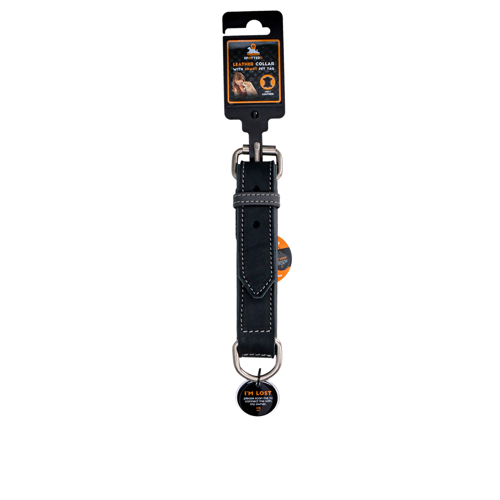 Spotted! Pro Lederhalsband aus Rindsleder schwarz – hochwertig und robust