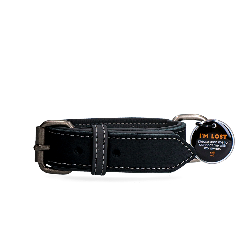 Spotted! Pro Lederhalsband aus Rindsleder schwarz – hochwertig und robust