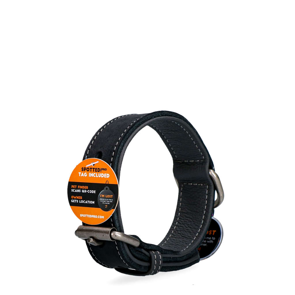 Spotted! Pro Lederhalsband aus Rindsleder schwarz – hochwertig und robust