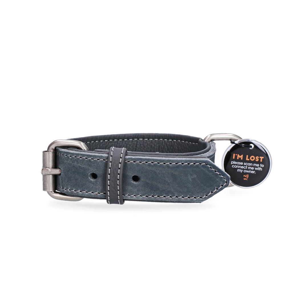 Spotted! Pro Lederhalsband aus Rindsleder, grau, hochwertig, robust