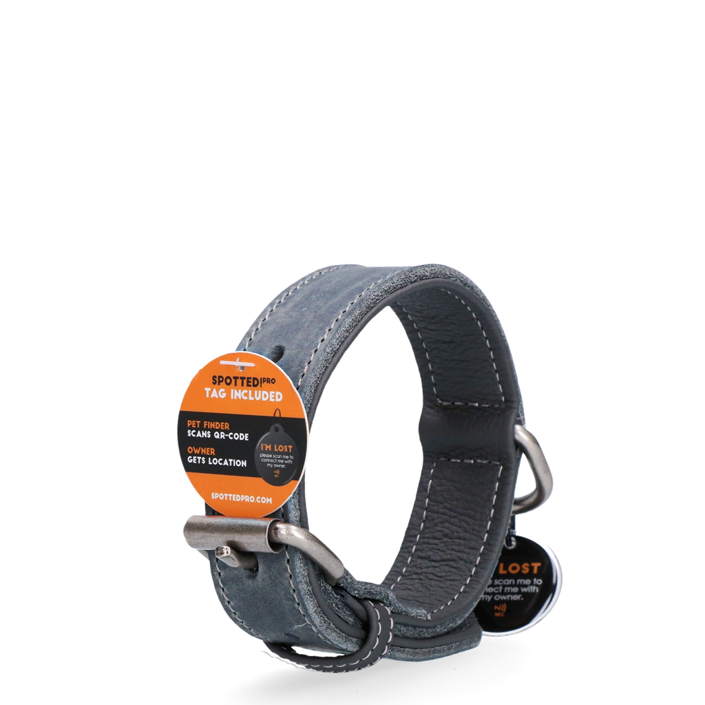 Spotted! Pro Lederhalsband aus Rindsleder, grau, hochwertig, robust