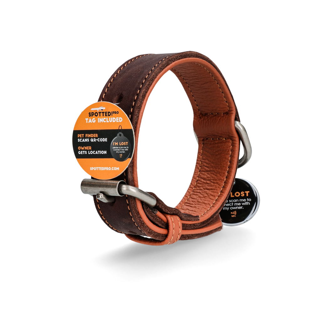 Spotted! Pro Lederhalsband aus Rindsleder, braun, hochwertig, robust