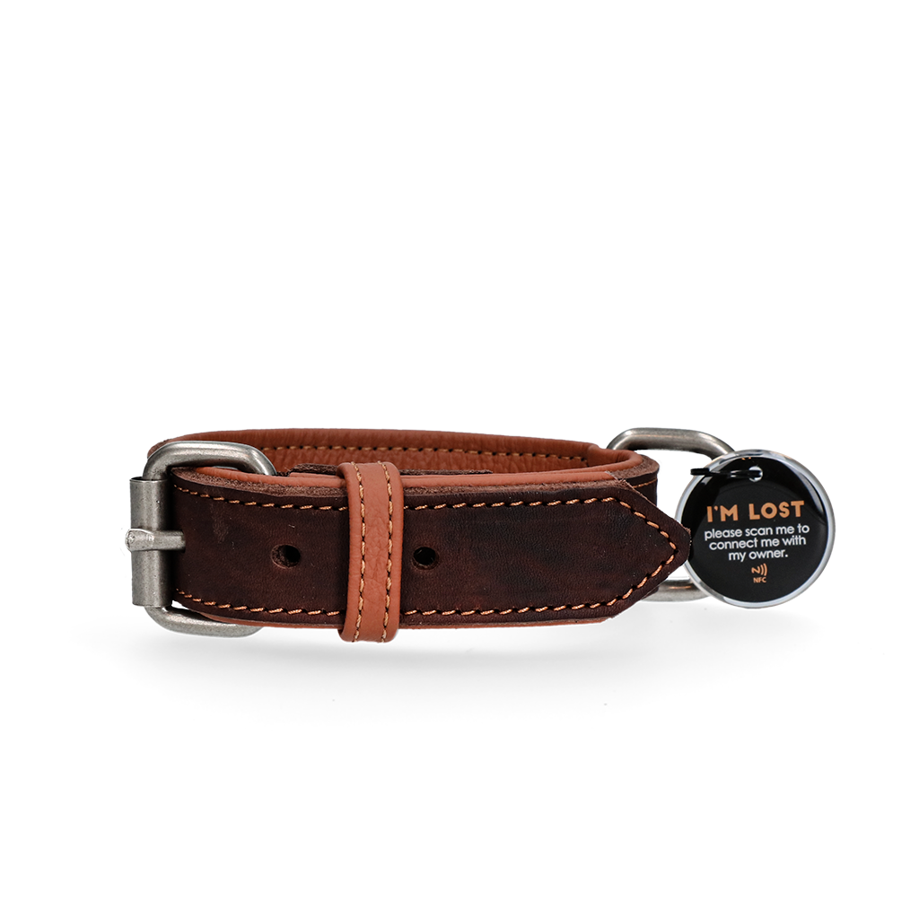 Spotted! Pro Lederhalsband aus Rindsleder, braun, hochwertig, robust