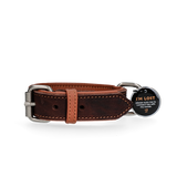 Spotted! Pro Lederhalsband aus Rindsleder, braun, hochwertig, robust