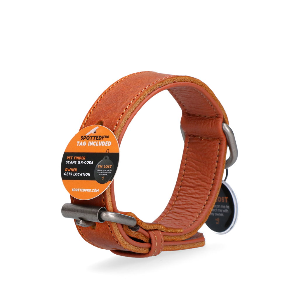 Spotted! Pro Lederhalsband aus Rindsleder, Cognac, hochwertig, robust