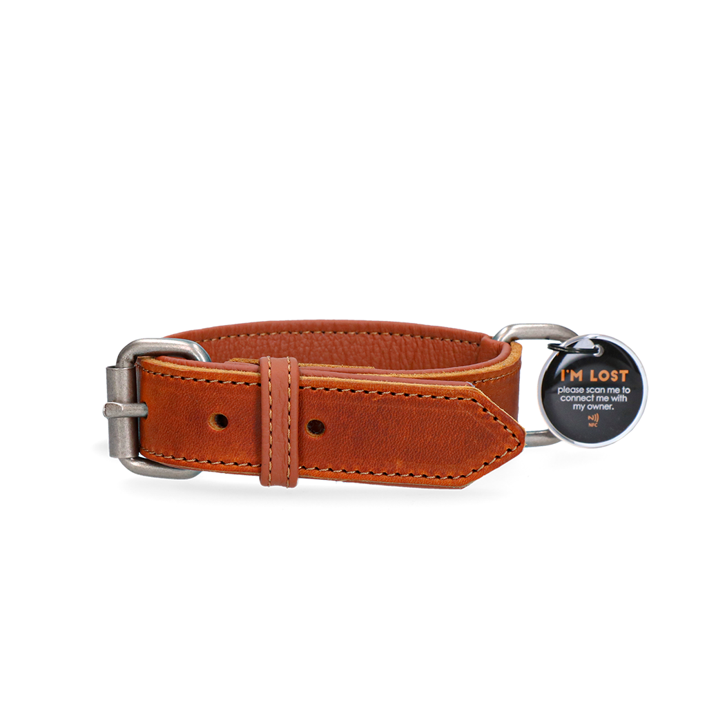Spotted! Pro Lederhalsband aus Rindsleder, Cognac, hochwertig, robust