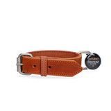 Spotted! Pro Lederhalsband aus Rindsleder, Cognac, hochwertig, robust