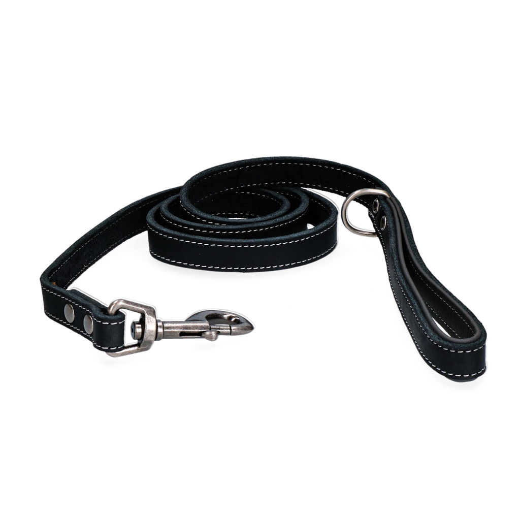 Spotted! Hundeleine Leder, schwarz, gepolsterter Griff, 130 cm x 1,8 cm