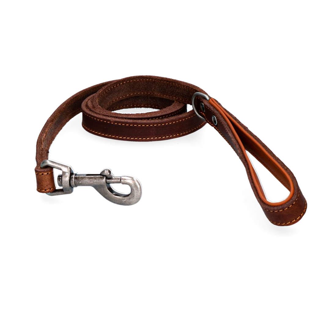 Spotted! Pro Hundeleine Leder, Braun, 1,8 cm x 130 cm