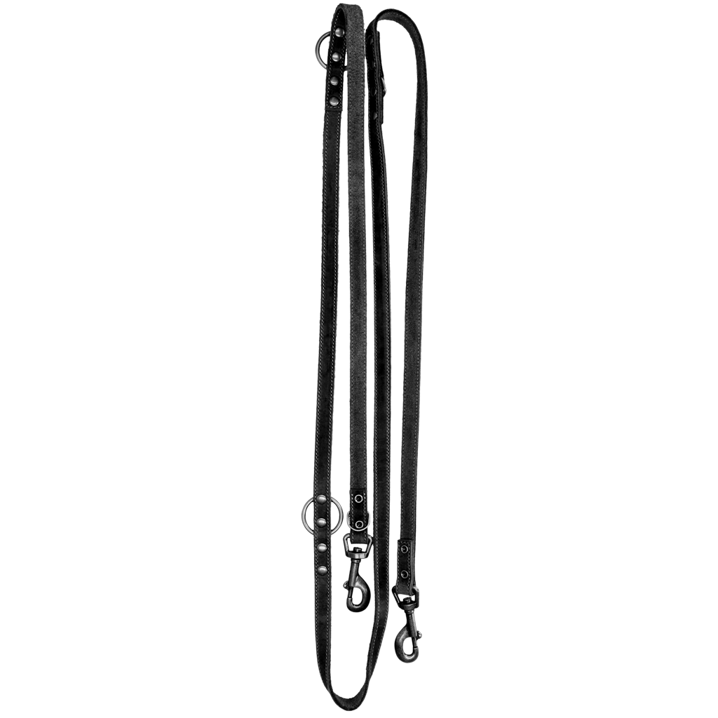 Spotted! Pro Hundetrainingsleine Leder, schwarz, 1,6 x 250 cm