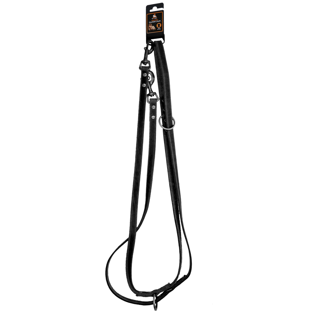 Spotted! Pro Hundetrainingsleine Leder, schwarz, 1,6 x 250 cm