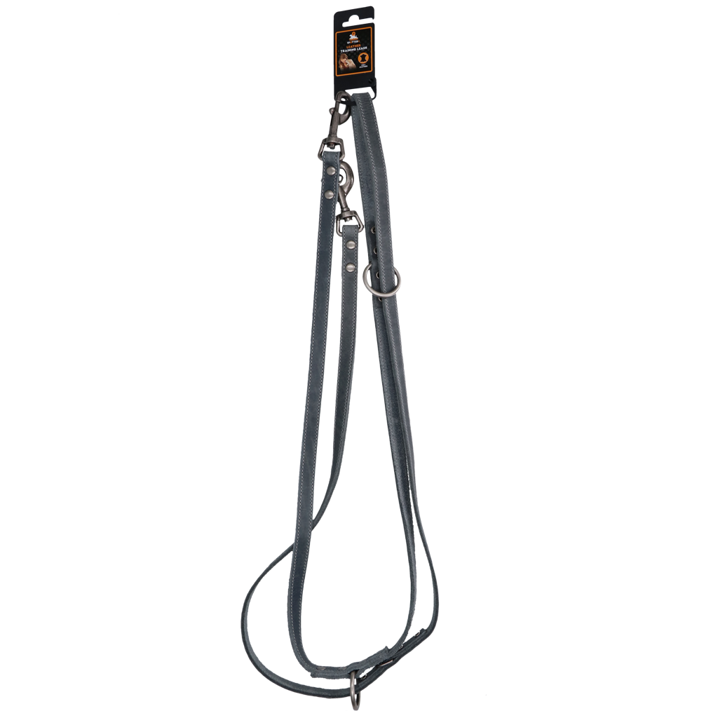 Spotted! Pro Hundeleine, Leder, grau, 1,6 x 250 cm
