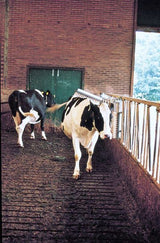 Viehbürste Vink, komplett, horizontal beweglich, Federaufhängung