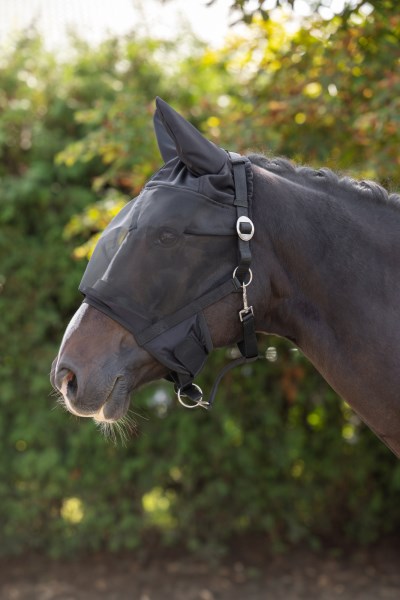 Halfter mit integrierter Fliegenschutzmaske, Pony, mit Ohrenschutz, Merkloos