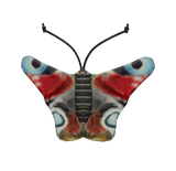 Wild Life Cat Katzenspielzeug Tagpfauenauge, Katzenminze