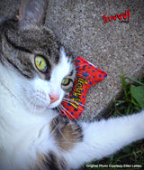 Yeowww! Katzenspielzeug, Katzenminze-Fische, 17,7 cm, 3 Stk