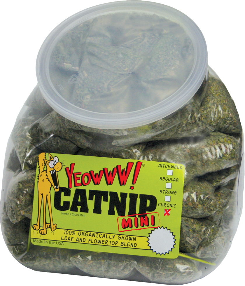Yeowww! Katzenminze Minis, 50 St.