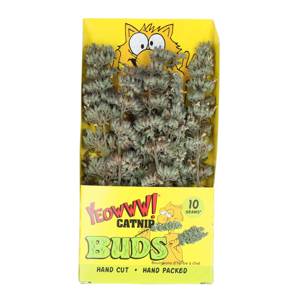 Yeowww! Katzenminze-Zweige, biologisch, 10 g