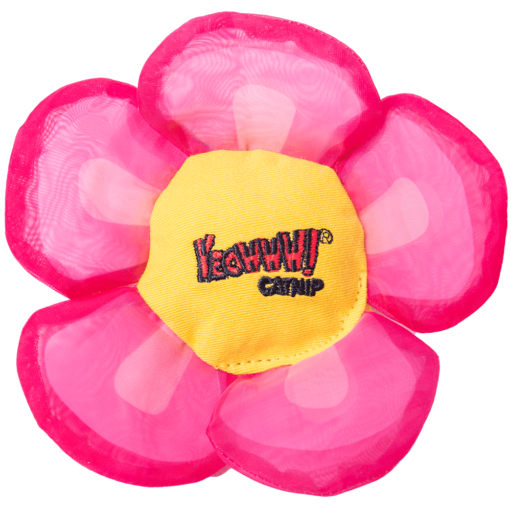 Yeowww! Daisy Flower Tops Blume Katzenspielzeug mit natürlicher Katzenminze