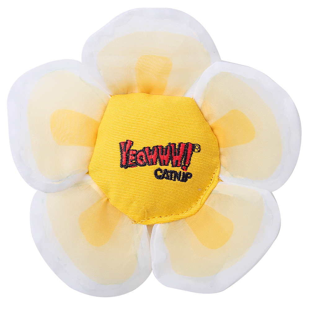 Yeowww! Daisy Flower Tops Blume Katzenspielzeug mit natürlicher Katzenminze